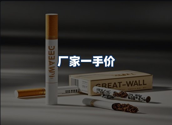 专业团队办公环境